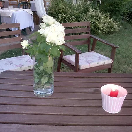 Merlaschio אורחן