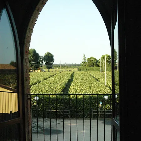 Merlaschio Faenza
