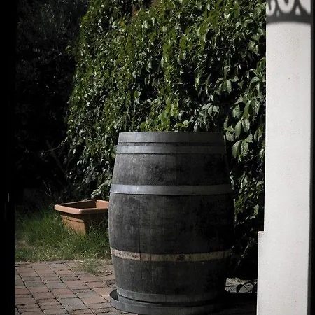 Merlaschio Inn Faenza